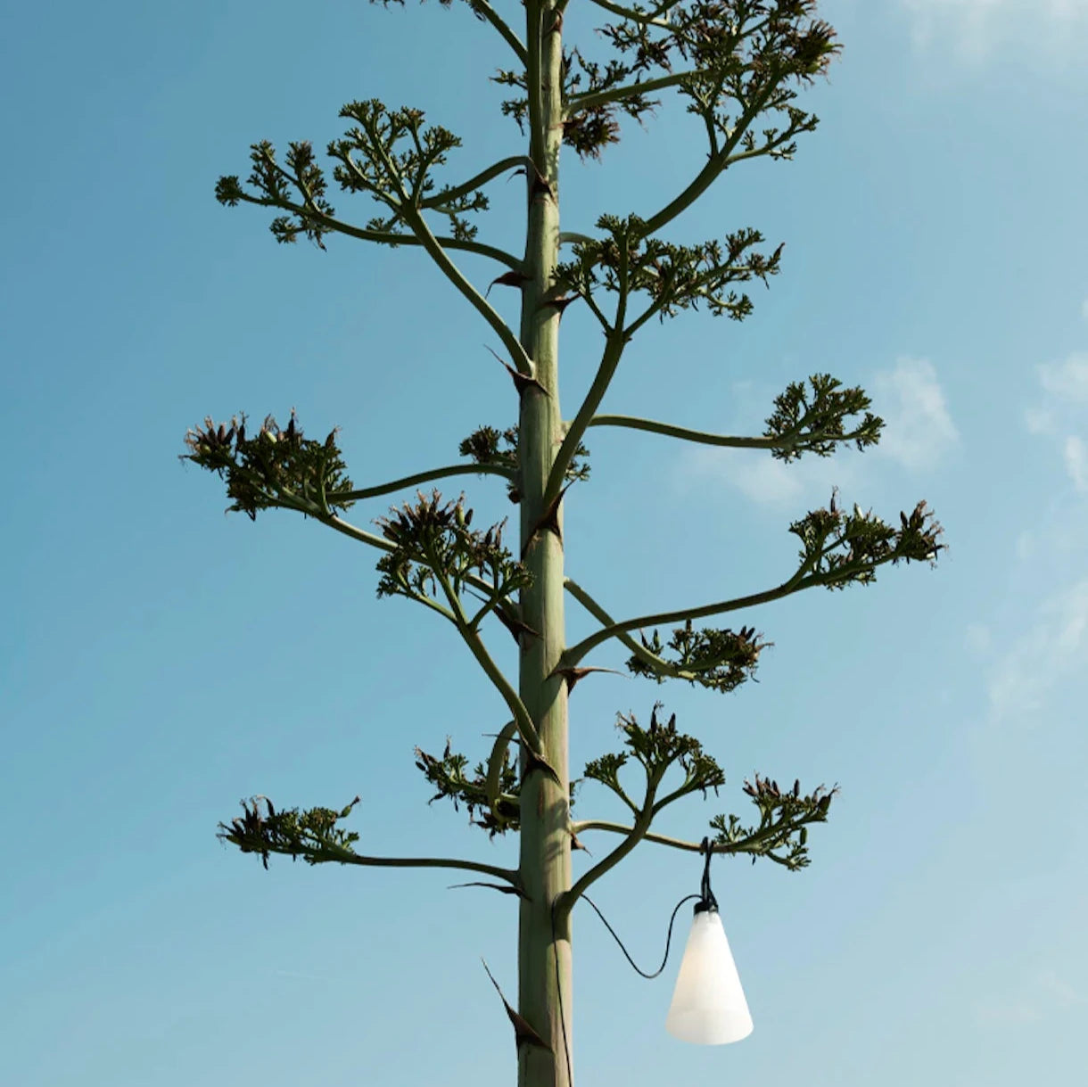 Mayday Outdoor Light