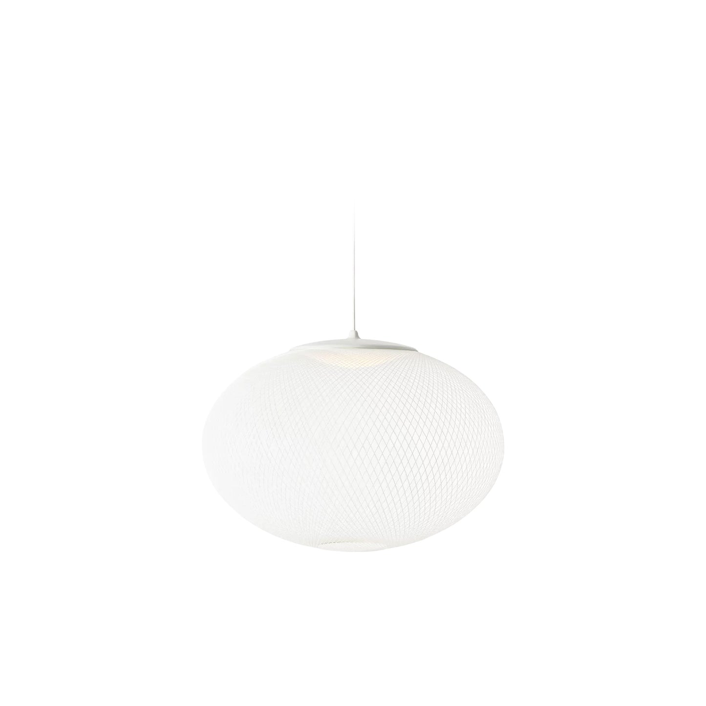 NR2 Suspension Light