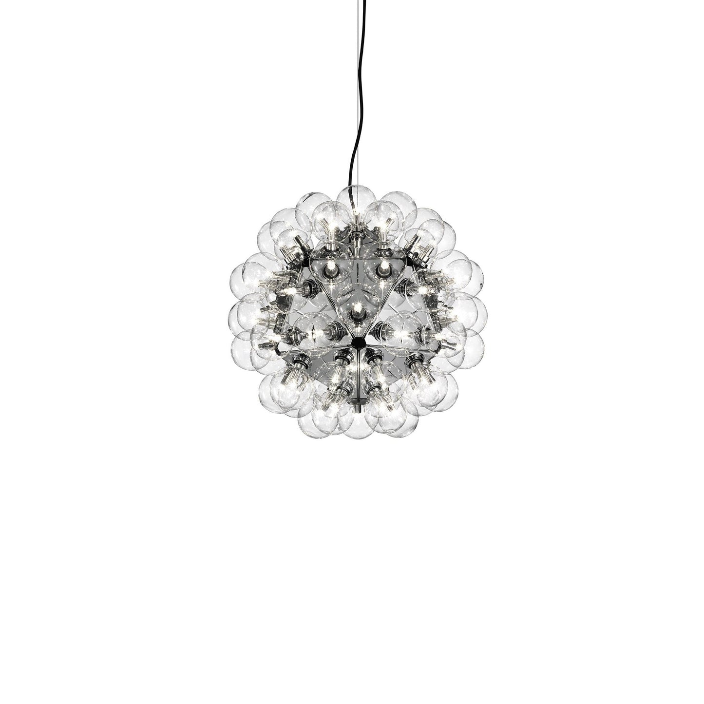 Taraxacum 88 Suspension