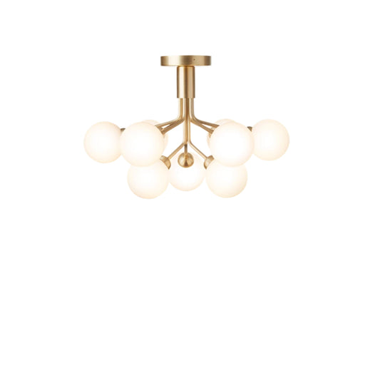 Apiales 9 Ceiling Light