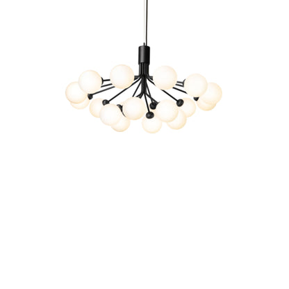 APIALES 18 Suspension