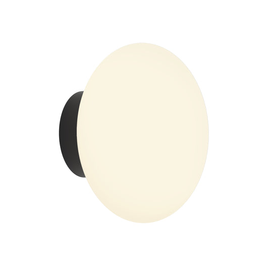 Zepp Wall light