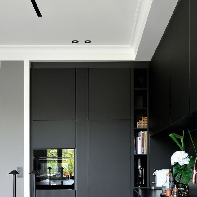 Rony Adjustable Recessed Light