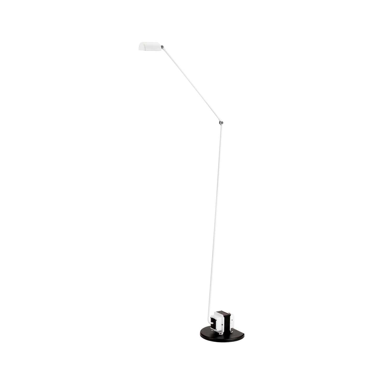 Daphine Floor Lamp