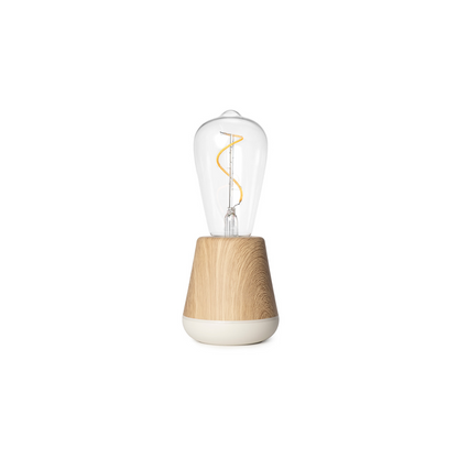 One Portable Lamp