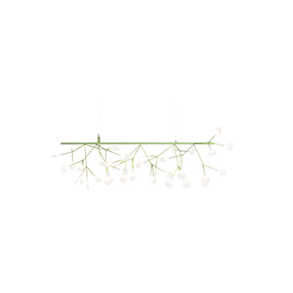 Heracleum III Endless Hangandi Ljós
