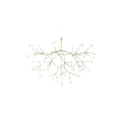 Heracleum III Hangandi Ljós