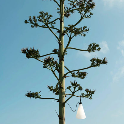 Mayday Outdoor Light
