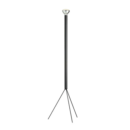 Luminator floor lamp