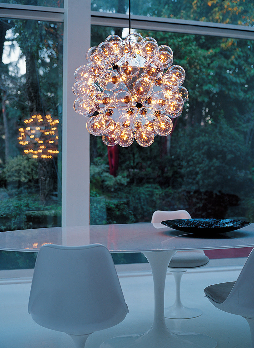 Taraxacum 88 Suspension