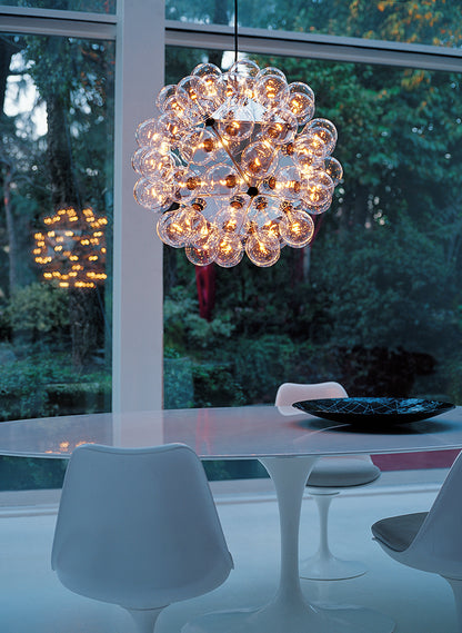 Taraxacum 88 Suspension