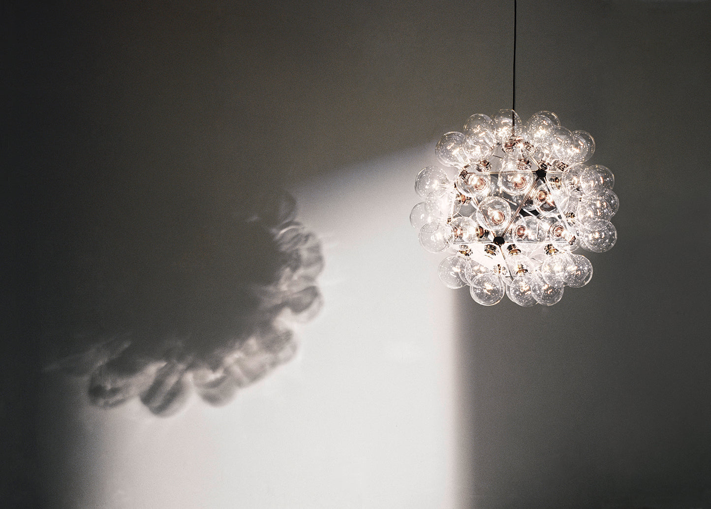 Taraxacum 88 Suspension