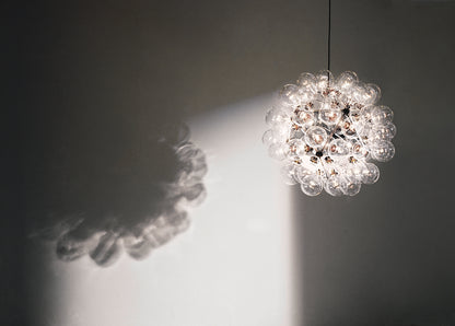 Taraxacum 88 Suspension