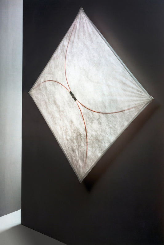 Ariette wall/ceiling light