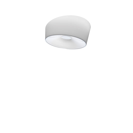 Lumiere Ceiling Light