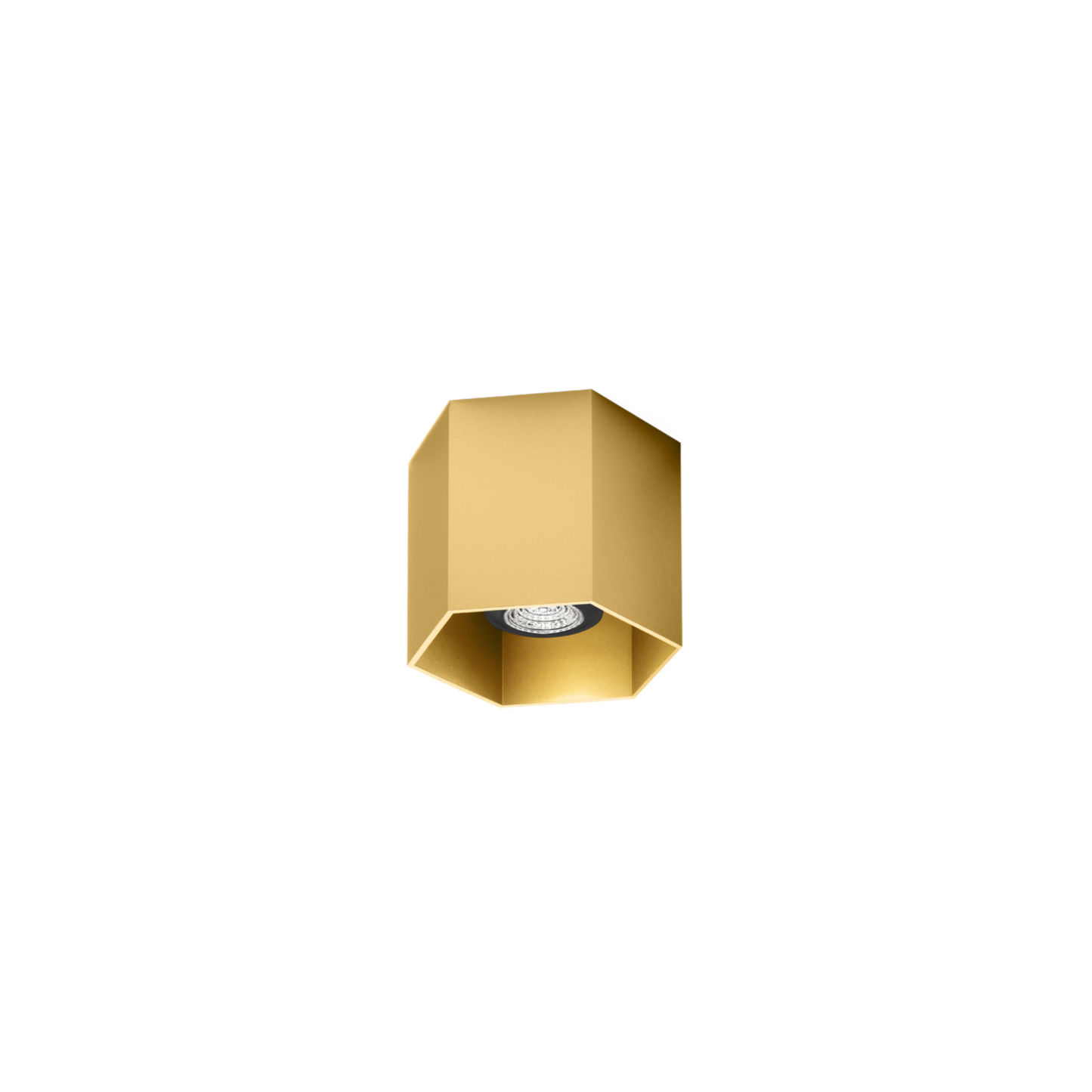 HEXO 1.0 PAR16 Spotlight
