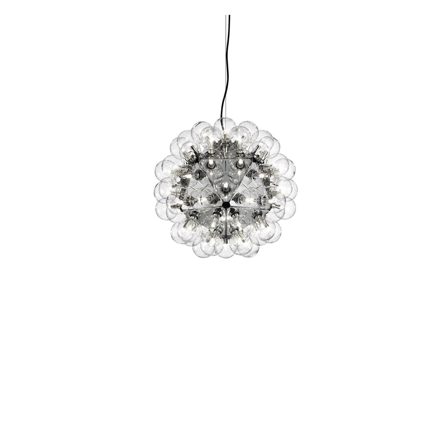 Taraxacum 88 Suspension