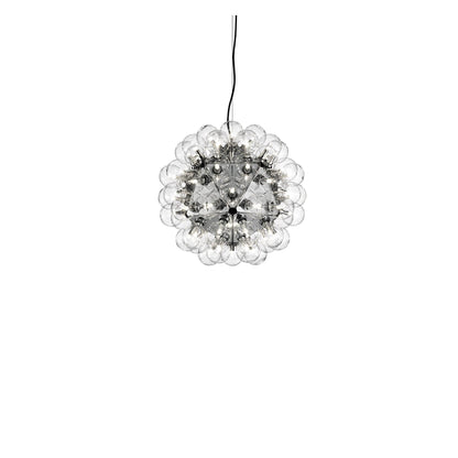 Taraxacum 88 Suspension
